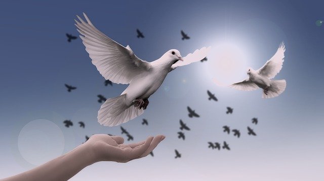 peace-2022